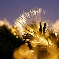 Хвойная гирлянда фиброоптическая «Вспышки» 200 см, автопереключение Хвойная гирлянда фиброоптическая «Вспышки» 200 см, автопереключение