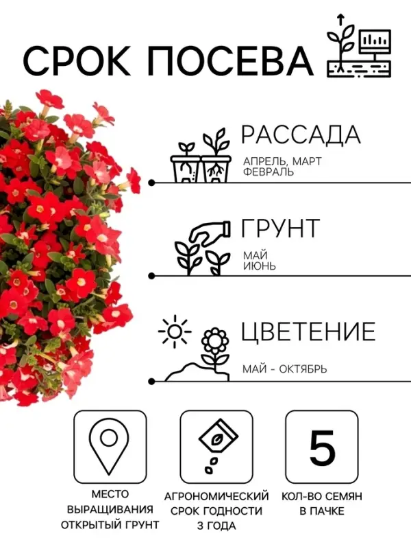 Семена цветов Петуния &laquo;Минибелло розовая с глазком&raquo;, многоцветковая F1, 5 шт., Farao, &laquo;АЭЛИТА&raquo;
