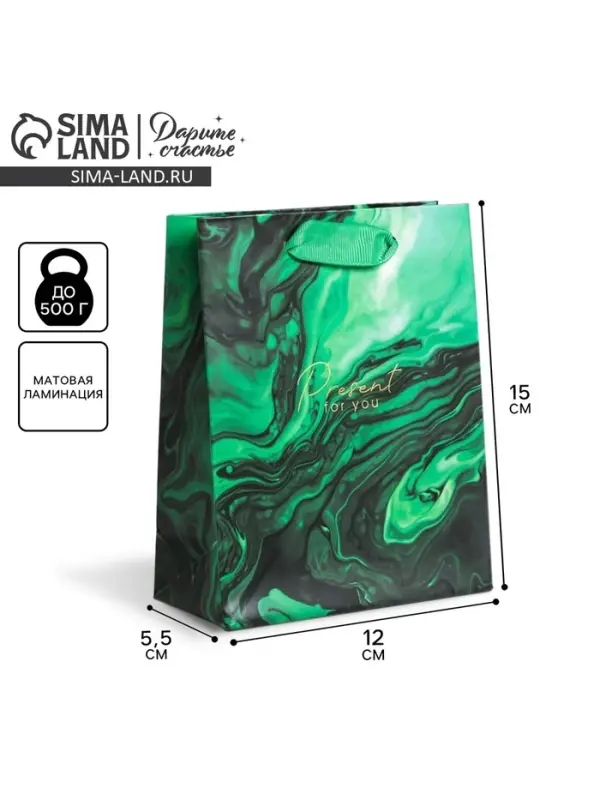 Пакет подарочный ламинированный, упаковка, &laquo;Present for you&raquo;, S 12&times;15&times;5.5 см
