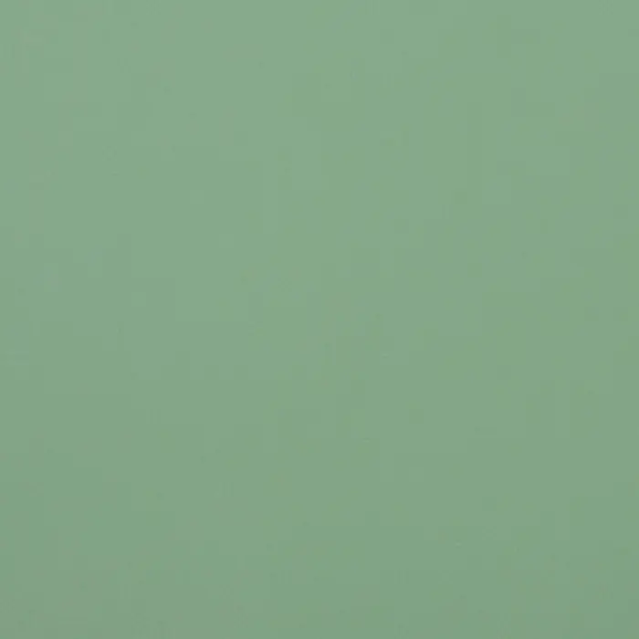 Пленка для цветов тонированная, матовая, светло - зелёная, 57×57 см ±5% см, 65 мкм Пленка для цветов тонированная, матовая, светло - зелёная, 57×57 см ±5% см, 65 мкм