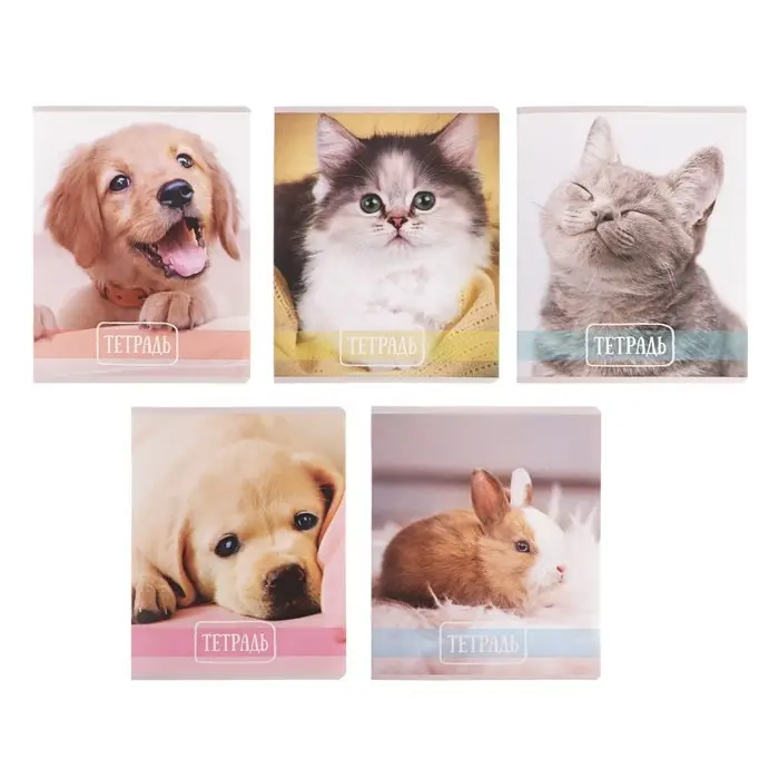 Тетрадь 24 листа в клетку Calligrata &laquo;Домашние животные&raquo;, обложка мелованный картон, ВД-лак, блок офсет, белизна 95%, МИКС