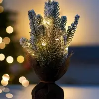 Фигура светодиодная &laquo;Сказочный свет&raquo; 28 см, 10 LED, от батареек AG13&times;3, свечение тёплое белое