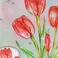 Пакет подарочный прозрачный &laquo;Тюльпаны&raquo;, 22&times;10&times;24 см