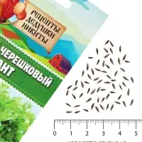 Семена Сельдерей &laquo;черешковый Атлант&raquo;, 0.5 г, &laquo;Рецепты дедушки Никиты&raquo;