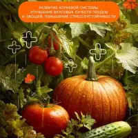 Удобрение минеральное Монокалийфосфат, 0.5 кг