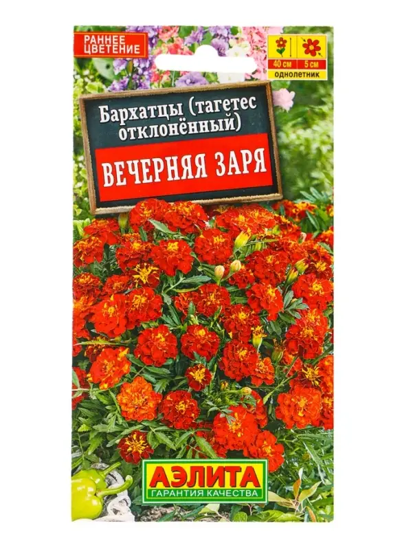 Семена цветов Бархатцы Вечерняя заря отклоненные , Ц/П,0,3 г Семена цветов Бархатцы Вечерняя заря отклоненные , Ц/П,0,3 г