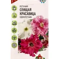 Семена цветов Петуния &laquo;Спящая красавица&raquo;, бахромчатая, 5 шт., &laquo;Гавриш&raquo;