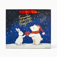 Пакет подарочный новогодний &laquo;В Новогоднюю ночь&raquo;, 30&times;9&times;25.5 см