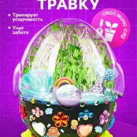 Набор для опытов &laquo;Мой мини-сад&raquo;, выращивание травки, своими руками