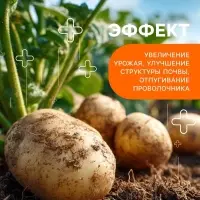 Картофельная формула, удобрение для картофеля, 5 кг