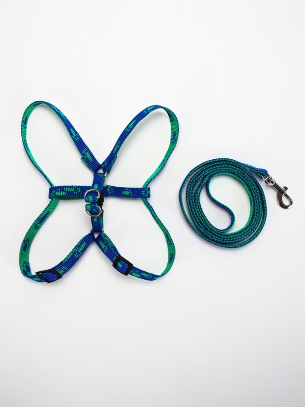 Комплект Комплект "Большая лапа", ширина 1 см, поводок 120 см, шлейка 25-36 см, сине-зелёный