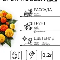 Семена цветов Бархатцы прямостоячие &laquo;Хлопушка&raquo;, 0.2 г