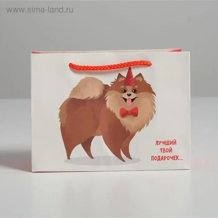 Пакет подарочный, упаковка, «Лучший подарочек», 14,5 х 19,5 х 8,5 см