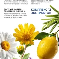 Шампунь для волос &laquo;Против выпадения&raquo;, 400 мл, BONAMI