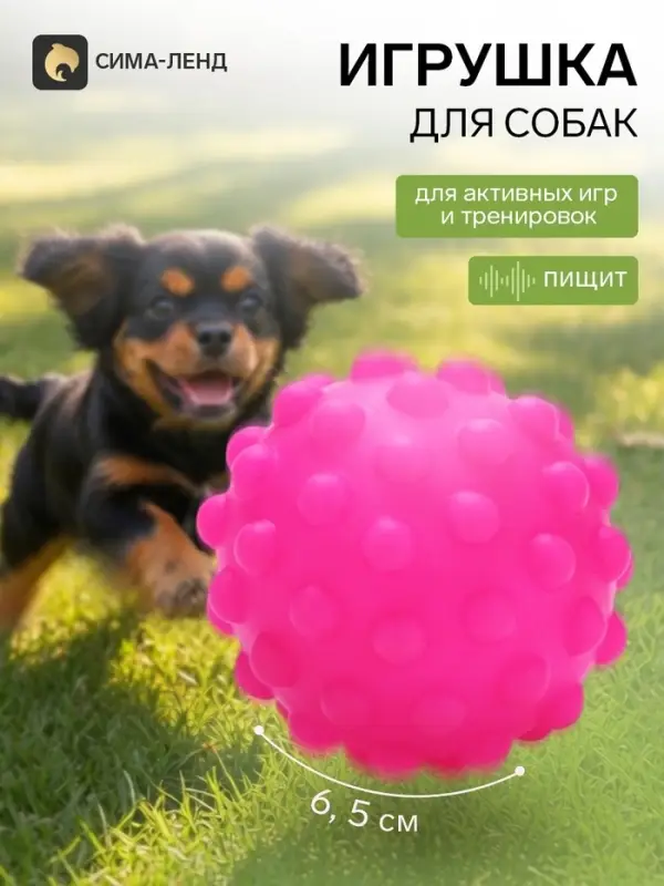 Игрушка для собак &laquo;Мячик&raquo;, 6.5 см, пищащая, фуксия