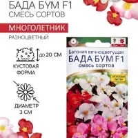 Бегония Бада бум F1, смесь сортов 5 шт  (2027; 71.96.02 /1)