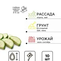 Семена Кабачок цукини &laquo;Желтоплодный&raquo;, 10 шт., &laquo;Аэлита&raquo;