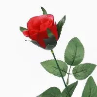 Цветы искусственные &laquo;Роза&raquo;, h=65 см, d=5 см, МИКС