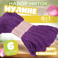 Набор ниток мулине №3348, 8 ± 1 м, 6 шт, цвет сливовый