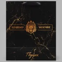 Пакет подарочный вертикальный &laquo;Лучшему мужчине&raquo;, ML 23&times;27&times;11.5 см