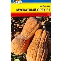 Семена Кабачок &laquo;Мускатный орех&raquo;, F1 1 г, &laquo;УРОЖАЙ УДАЧИ&raquo;