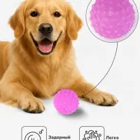 Игрушка для собак &laquo;Рельефный мяч&raquo;, 6 см, пищащая, сиреневая