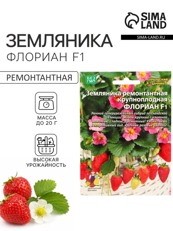 Семена Земляника ремонтантная &laquo;Флориан&raquo;, F1, крупноплодная, 5 шт., &laquo;Уральский Дачник&raquo;