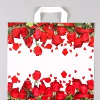 Пакет &laquo;Гран При&raquo;, полиэтиленовый с петлевой ручкой, 38&times;34 + 3 см, 70 мкм