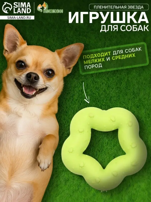 Жевательная игрушка для собак &laquo;Пленительная звезда&raquo;, 7 см, TPR, жёлтая