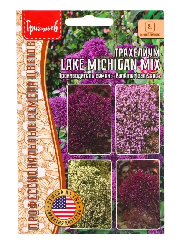 Семена цветов Трахелиум Lake Michigan Mix 4 м.др.  12.29 г.