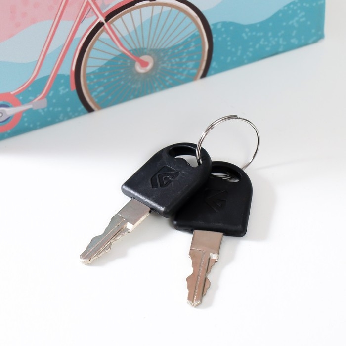 Сейф-книга дерево кожзам Сейф-книга дерево кожзам "Велосипед с воздушными шарами" 21х13х5 см