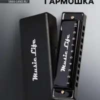 Губная гармошка Music Life, диатоническая, C-major, с футляром, черная