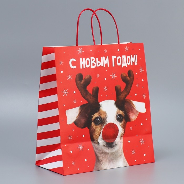 Пакет подарочный новогодний крафтовый «Олень ты», 28 х 32 х 15 см Пакет подарочный новогодний крафтовый «Олень ты», 28 х 32 х 15 см