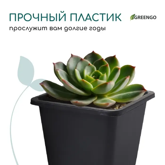 Горшок для рассады, 250 мл, d=9 см, h=8 см, пластик, чёрный, Greengo Горшок для рассады, 250 мл, d=9 см, h=8 см, пластик, чёрный, Greengo