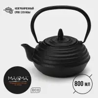 Чайник Magma &laquo;Танан&raquo;, 800 мл, с ситом, с эмалированным покрытием внутри, индукция, чугун, чёрный