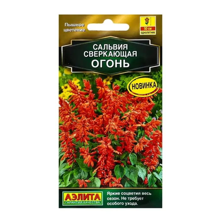 Семена цветов Сальвия сверкающая "Огонь", ц/п, 0,05 г