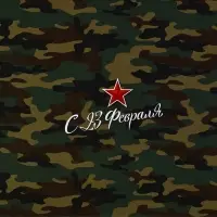 Бумага упаковочная глянцевая &laquo;С 23 февраля&raquo;, 70&times;100 см