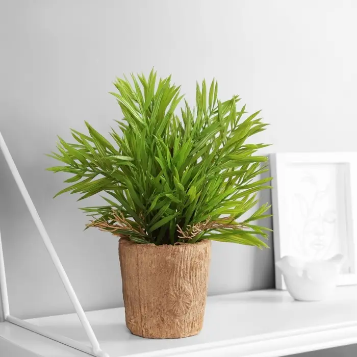 Искусственный цветок в горшке &laquo;Хамедорея экстра&raquo;, 8&times;24 см, МИКС