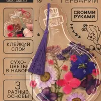 Набор для творчества &laquo;Закладка-гербарий&raquo;, 3 основы+сухоцветы
