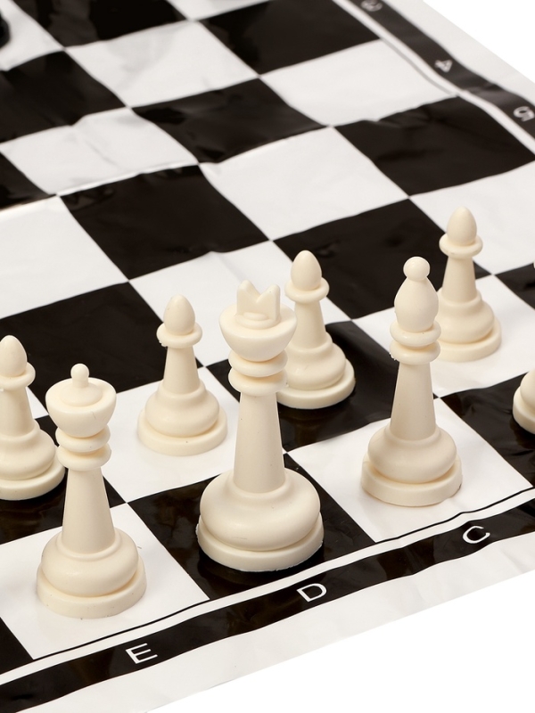 Шахматы 30 х 30 см, король h-5 см, d-2.2 см, фигуры пластик Шахматы 30 х 30 см, король h-5 см, d-2.2 см, фигуры пластик