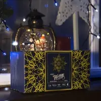 Гирлянда &laquo;Бахрома&raquo; 3&times;0.6 м, IP44, УМС, тёмная нить, 160 LED, свечение бело-синее, мигание, 220 В