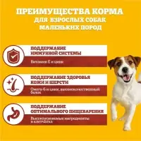 Сухой корм Pedigree для собак мелких пород, говядина, 13 кг