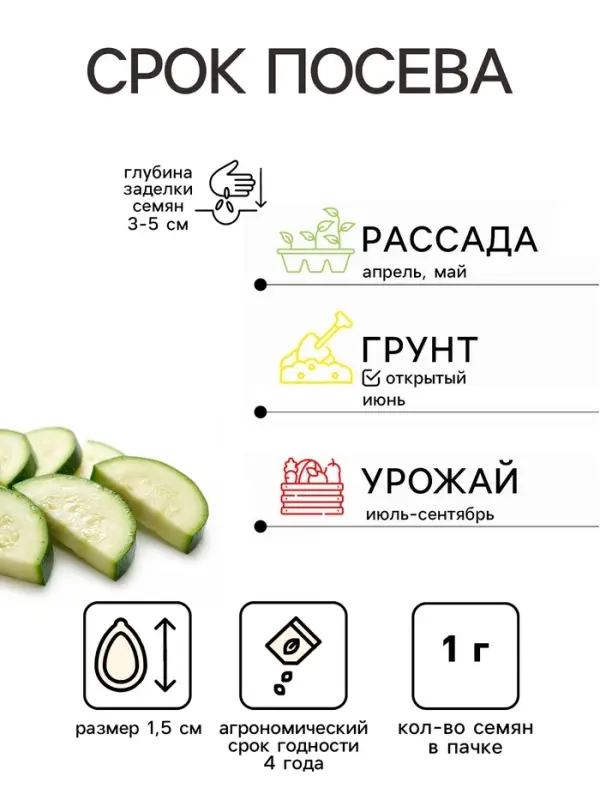 Семена Кабачок &laquo;Вовчик&raquo;, раннеспелый, белоплодный, универсальный, 1 г, &laquo;Евро-семена&raquo;