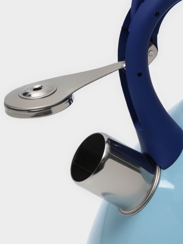 Чайник со свистком из нержавеющей стали Доляна «Свиристель», 3 л, цвет голубой