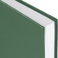 Ежедневник недатированный ,бумвинил,зелен,А6,105х140мм,128л