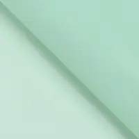 Пленка для цветов, «Серебряный кант», зелёный пастельный, 57×57±1 см