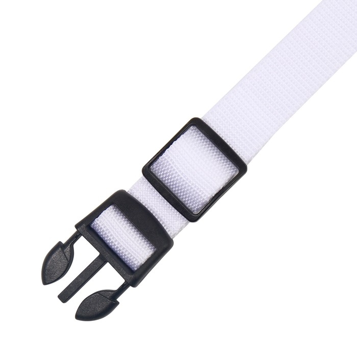 Ошейник с подсветкой Двойная полоса размер XL, ОШ 52-60 х 2,5 см, 3 режима свечения белый Ошейник с подсветкой Двойная полоса размер XL, ОШ 52-60 х 2,5 см, 3 режима свечения белый