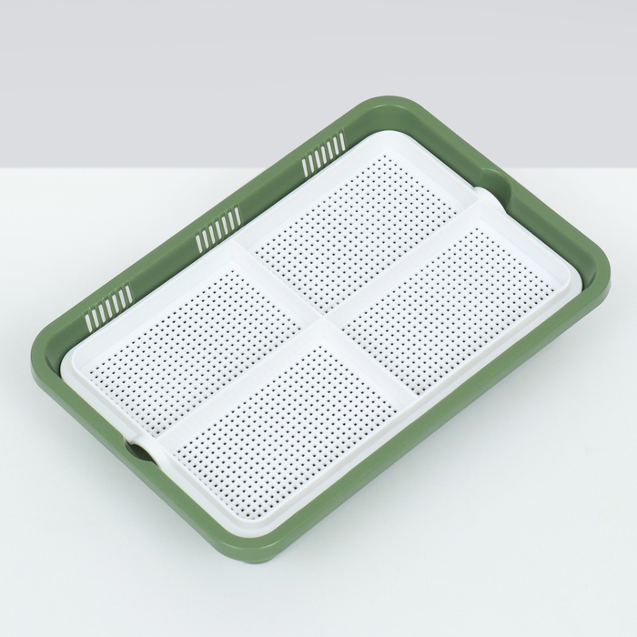 Лоток для проращивания травы кошкам 26,5 х 17,5 х 5 см Лоток для проращивания травы кошкам 26,5 х 17,5 х 5 см