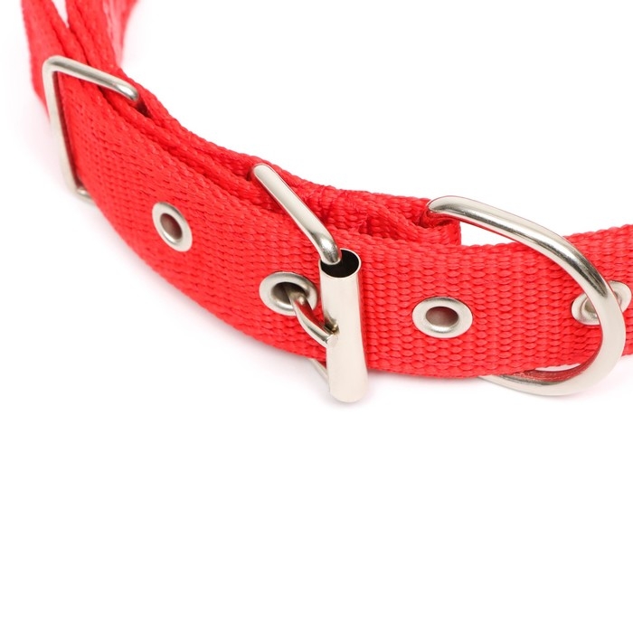 Ошейник Ошейник "Комфорт" комбинированный (полиэстер, искусственная кожа), 58 х 3 см, ОШ 45-52 см, красный 6