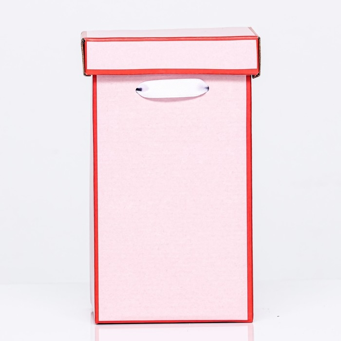 Набор коробок 3 в 1, красный, 17 х 25 см / 14 х 23 см/ 10 х 18 см Набор коробок 3 в 1, красный, 17 х 25 см / 14 х 23 см/ 10 х 18 см